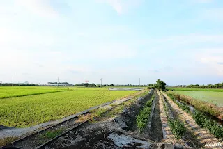 (7804)-往過溝方向拍&nbsp;