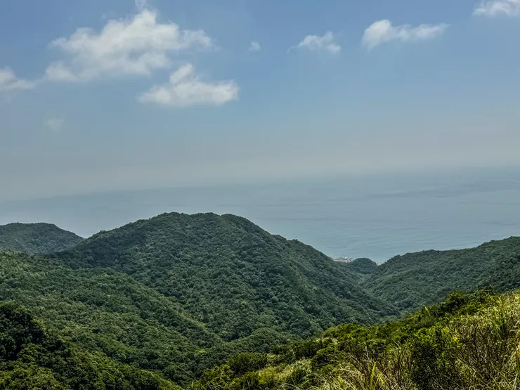 有山有海是這一帶山頭的特色之一