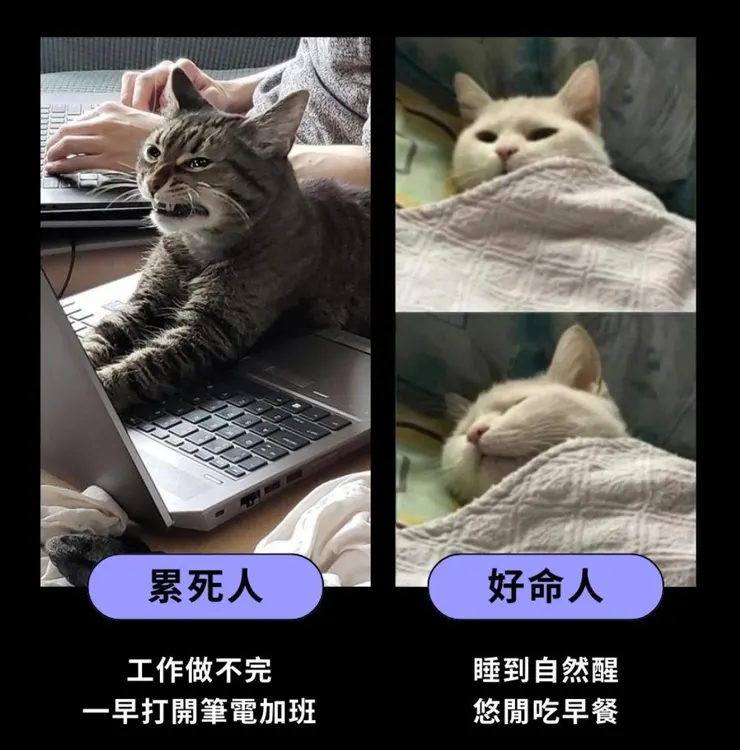 圖片來源：PopDaily