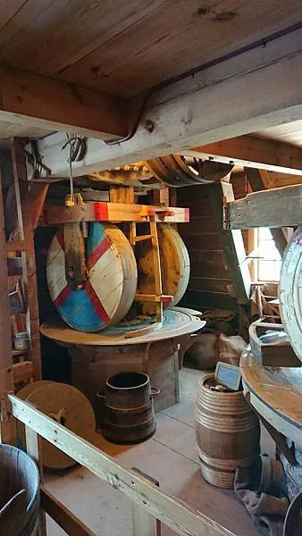 300天環遊世界之旅:第一站荷蘭7日遊