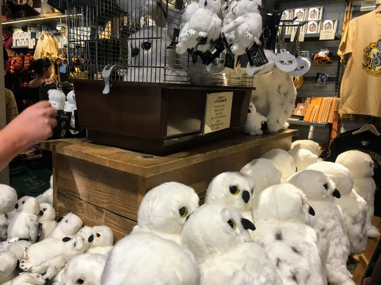 哈利波特的寵物貓頭鷹(雪鴞)