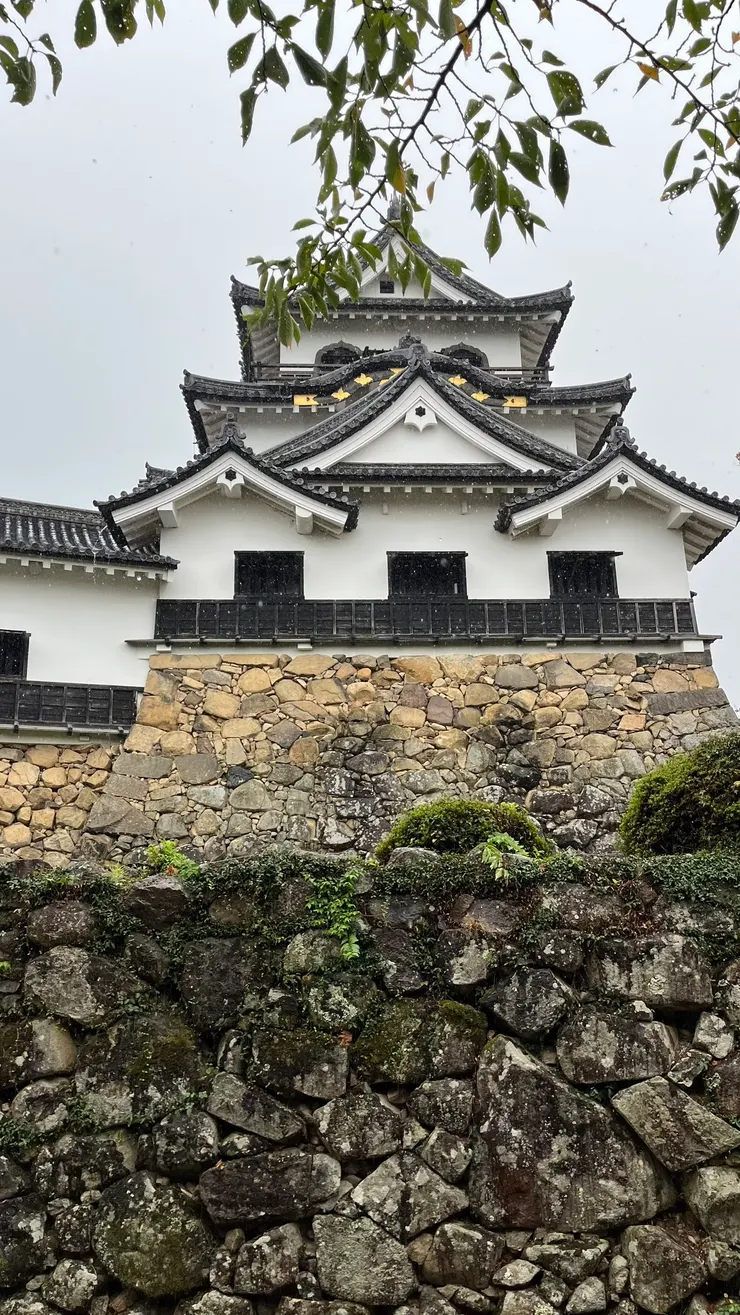 避免了被拆除的命運。