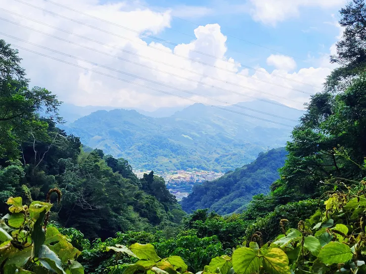 產道眺望大湖地區