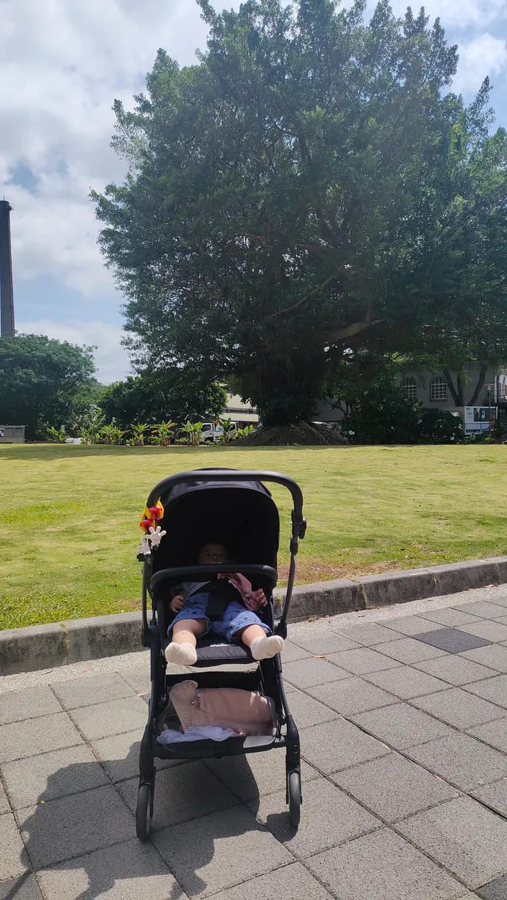 小哈利出門多半都是倒頭大睡．．．