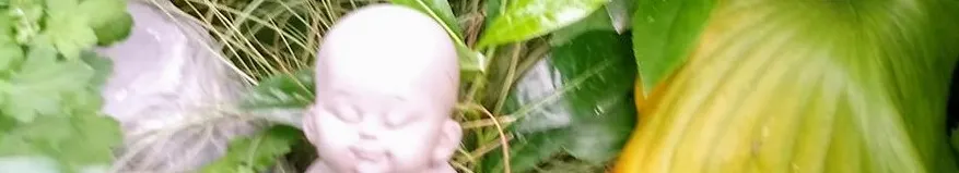 Lee Charity的沙龍