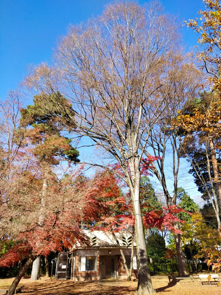 連廁所前面都這麼美