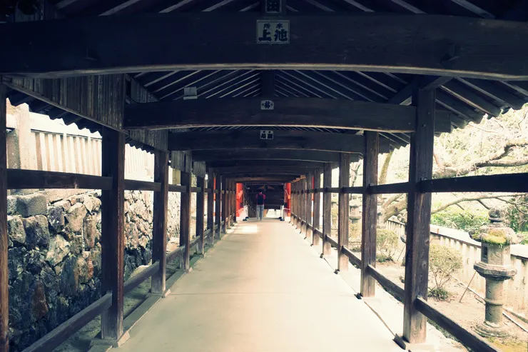 我真的很喜歡木造建築