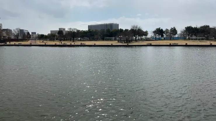 即使不是特別季節，波光粼粼的感覺也滿讚。