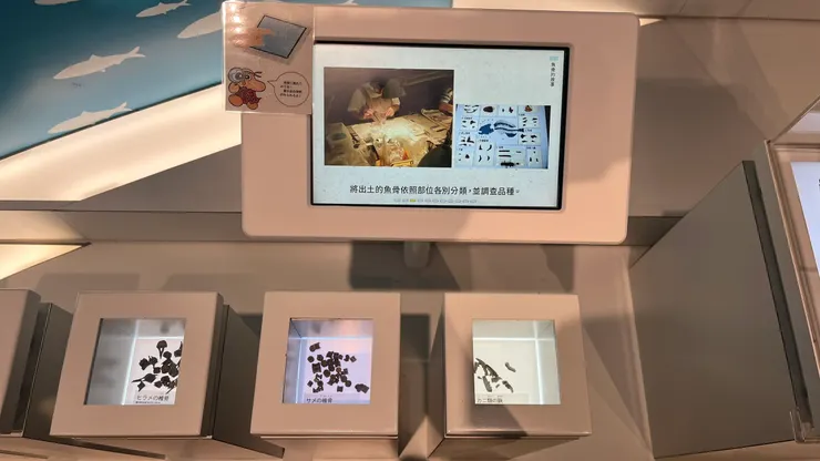 中文翻譯相當友善，讓我也能快速理解。