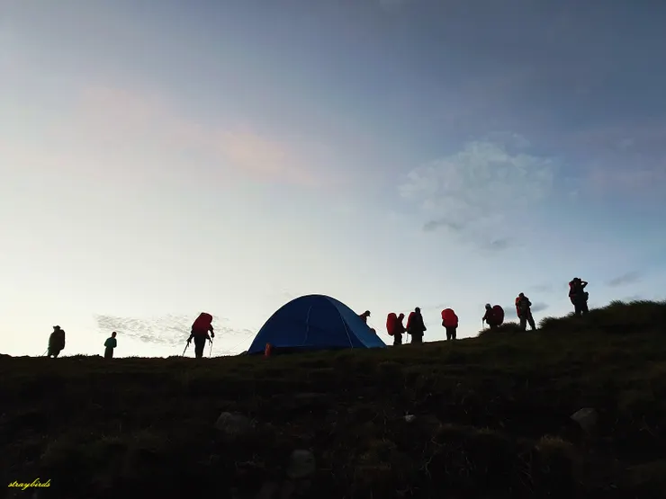 ↑一早出發的早鳥友隊-披星載月去旅行