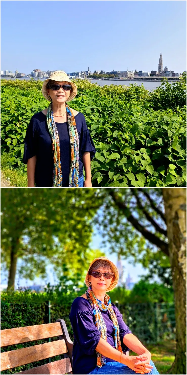 【過聖安娜隧道後，在河畔遙望舊城中心，附近有個小公園，老樹成蔭。】