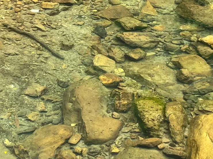 真的是清澈見底