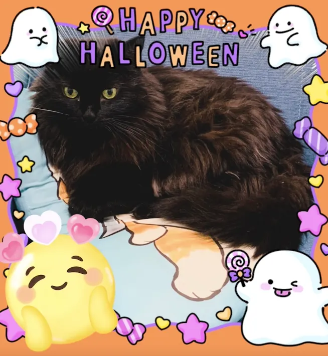 祝大家萬聖節快樂，喵～