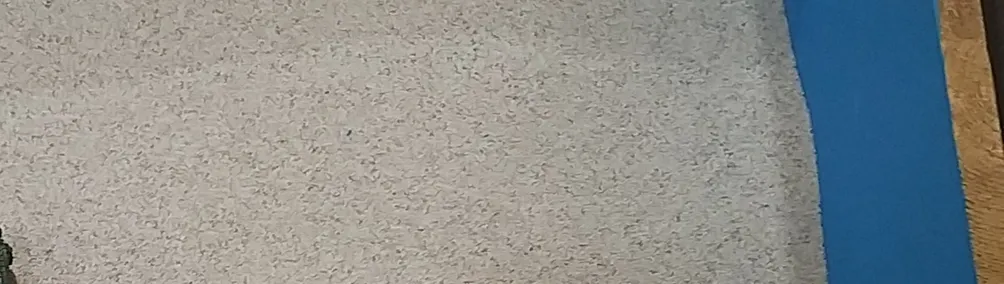 以病為師——與精神疾患共存yibingweishi的沙龍