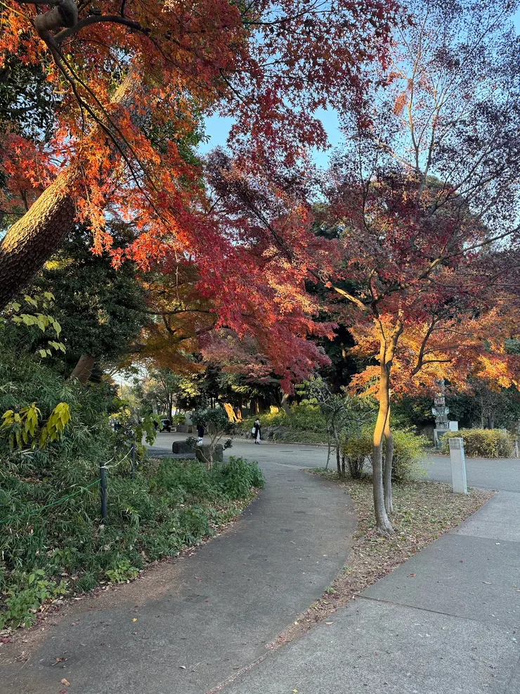 上野公園
