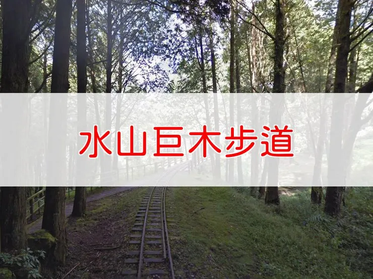 【嘉義】水山巨木步道 | 全長里程：單程1.8公里 | 難易度：低，適合初學者及家庭