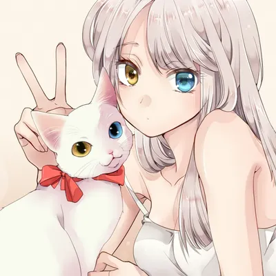 貓貓present的沙龍