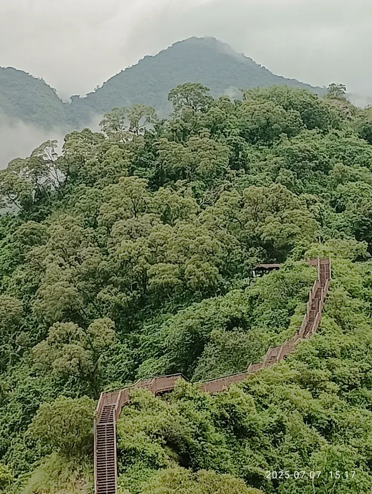 茂林多娜高吊橋旁的“木棧小長城”，自拍攝