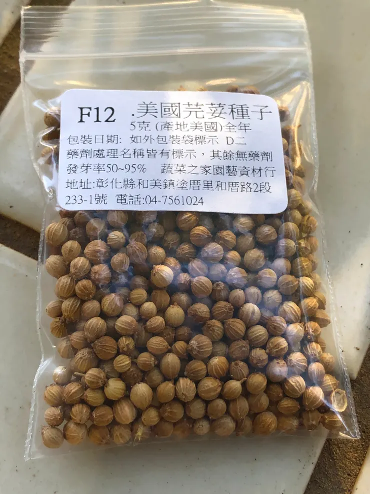 美國芫荽的種子，真的看起來是很堅硬的感覺。