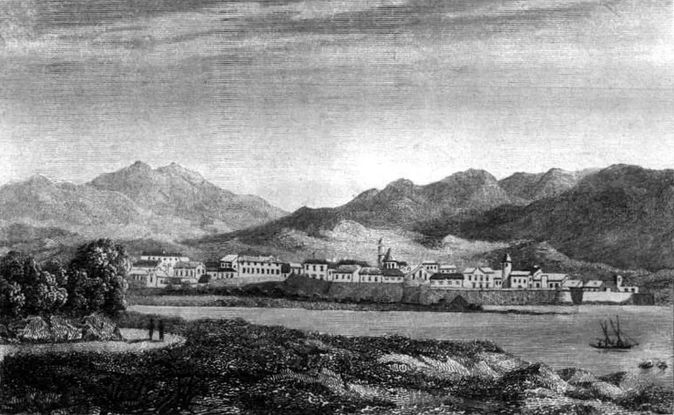 維基百科檔案照