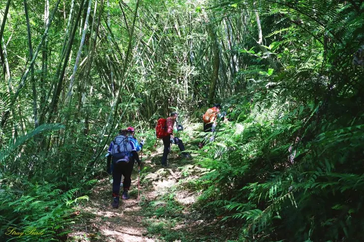 天氣炙熱，雖然只爬升二百多公尺，但在重裝下揮汗如雨，差點沒往生。
