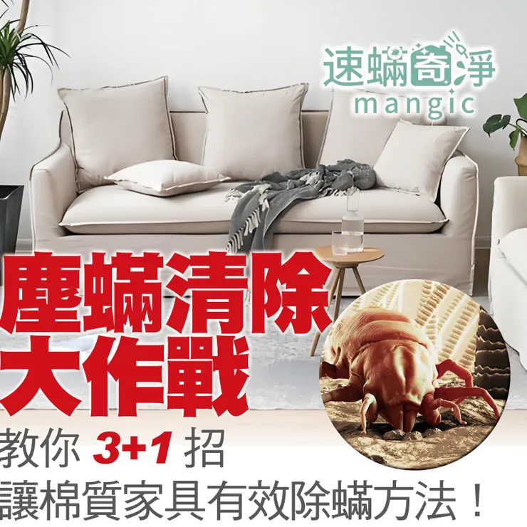 新北除螨推薦.台北除螨推薦.新北除塵螨.台北除塵螨.速螨奇淨