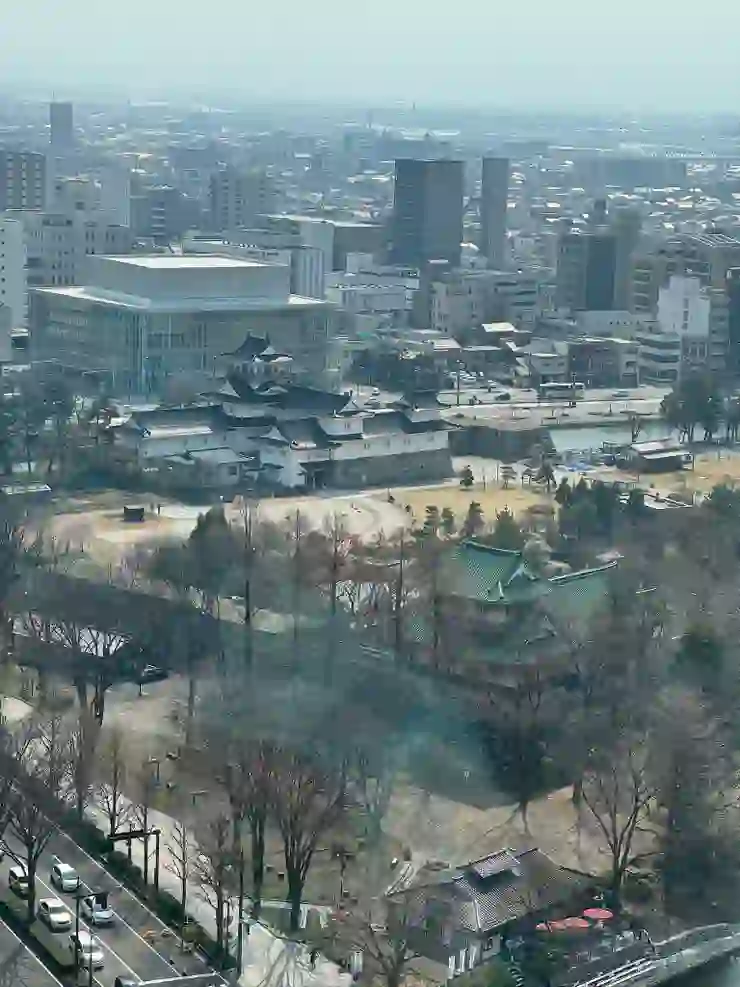 展望台上的景觀 可以看到旁邊的富山城