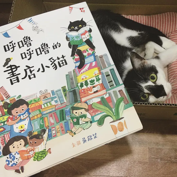 《呼嚕呼嚕的書店小貓》
