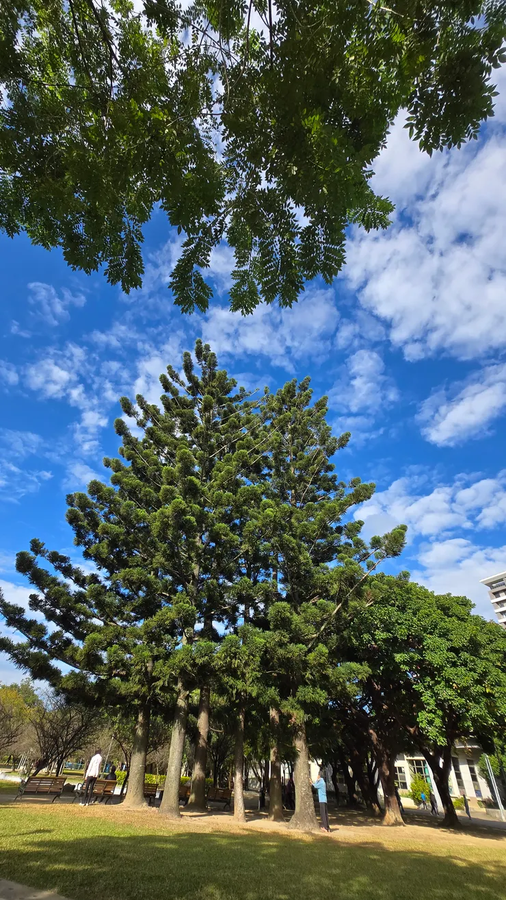 入選方格精選日的這天!!!