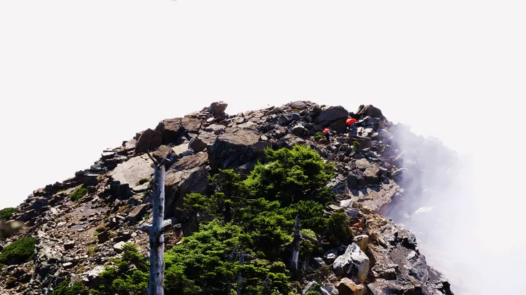 抬頭一看，黃家小隊３人已快登頂。