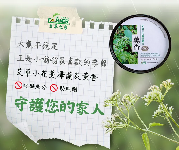 艾草小花蔓澤蘭炭薰香