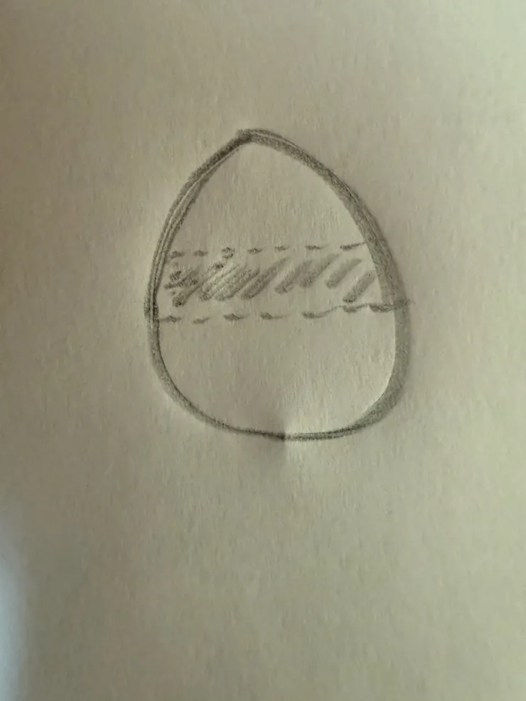 示意圖~中間敲碎硬殼一圈