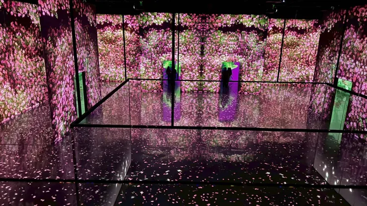 走進這個花花世界，開心得想跳起舞來。