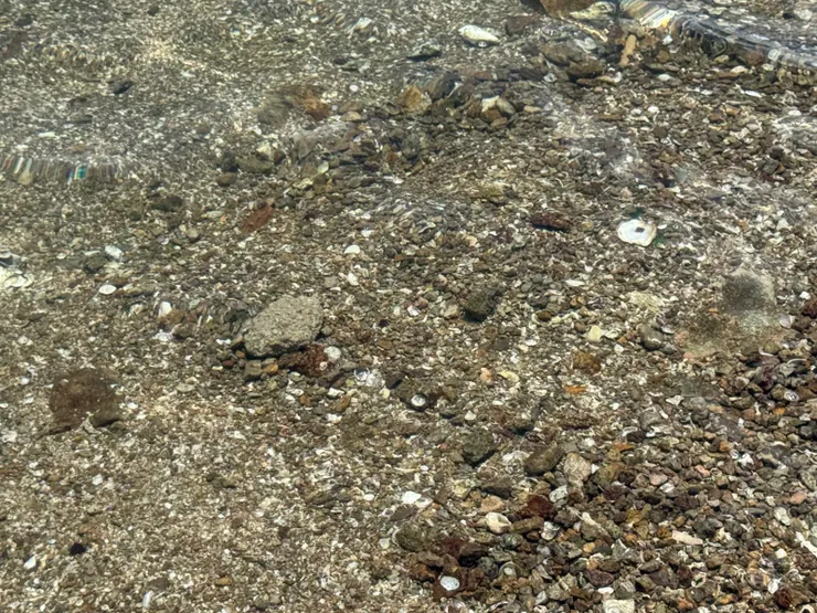 水質很清，可以看到小魚在其中