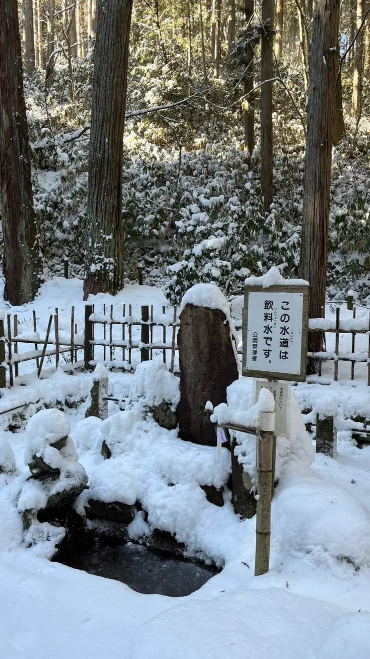 飲料水完全被覆蓋。