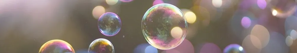 Little_Rover的沙龍