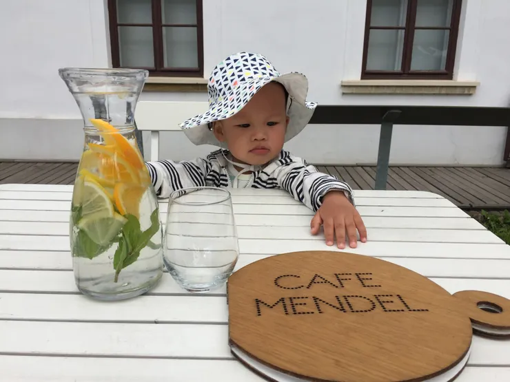 很喜歡帶孩子來這，因為人比較少