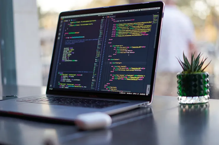 Photo by&nbsp;James Harrison&nbsp;on&nbsp;Unsplash