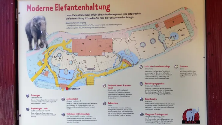 大象的窩，有各種地形與空間（水池、泥池、碎石地）