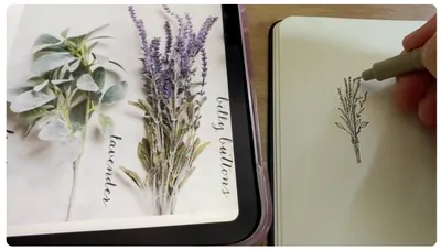 日日代針筆練習：畫薰衣草 (各位的練習也可以分享在這裡喔！)