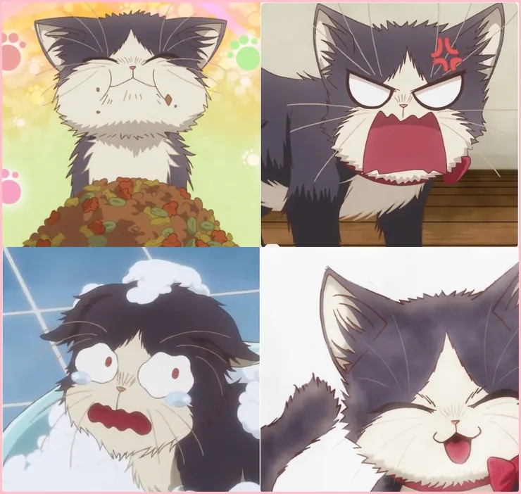 陽的喜、怒、哀、樂。