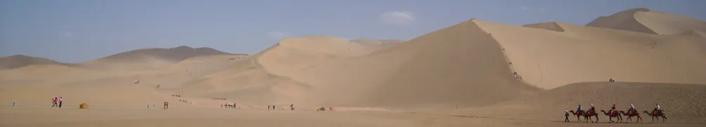 夏洛克 財金密室的沙龍