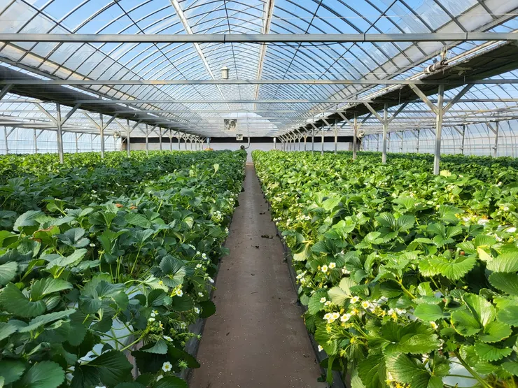 小松家農場園區