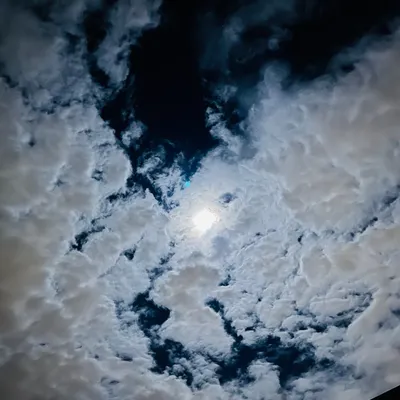 老詹的嘰喳妄語