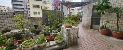 遠望過去，小有景緻  (李建崑攝影)
