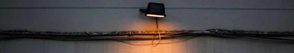 句點酪梨的沙龍