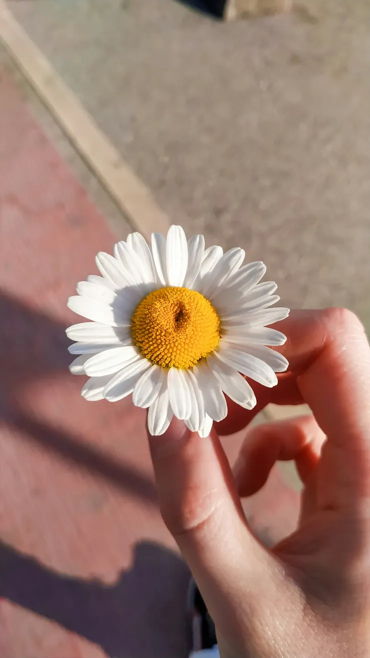 Photo by Mihaela Kozarec on Unsplash