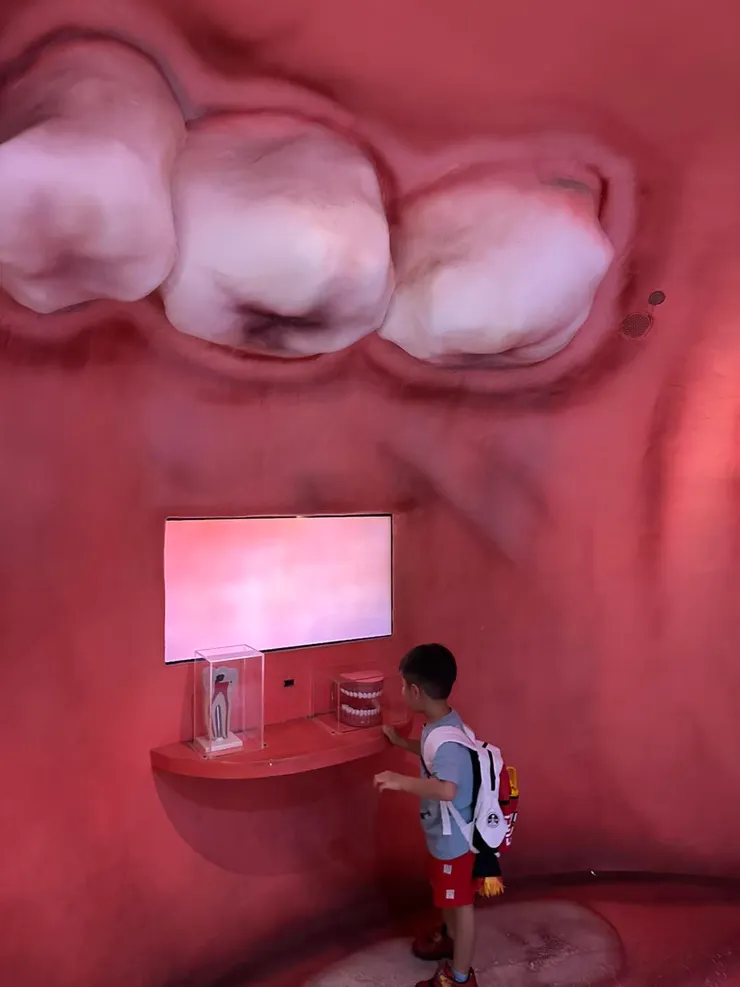 進來之後就看到了牙齒