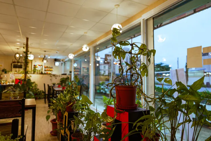 台東美食推薦😋/OA Restaurant 複合式餐廳:很Chill的背後,是一份用心🫂 #祝福花東🇹🇼 #義大利麵推薦 #肉醬 #焗烤麵包 #青醬 #我來開箱