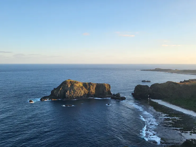 哈巴狗與睡美人